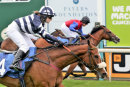 Race 1 - Mister Belvedere (3)