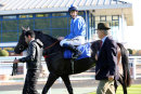 Race 1 - Mohaather (10)