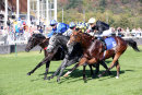 Nottingham Races (10 Oct 18)