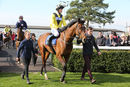 Race 1 - Mon Port (10)