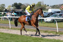 Race 1 - Mon Port (2)