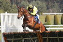 Race 1 - Mon Port (4)