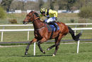 Race 1 - Mon Port (8)