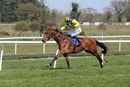 Race 1 - Mon Port (9)