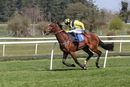 Race 1 - Mon Port (10)