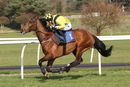 Race 1 - Mon Port (6)