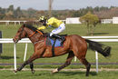 Race 1 - Mon Port (9)