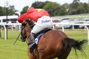 Race 1 - Montys Angel (13)