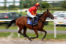Race 1 - Montys Angel (2)