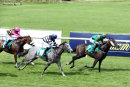 Race 1 - Moojim (11)