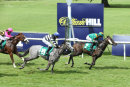 Race 1 - Moojim (12)