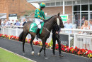 Race 1 - Moojim (2)