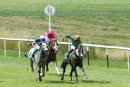 Race 1 - Moojim (4)