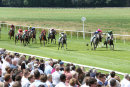 Race 1 - Moojim (5)
