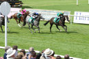 Race 1 - Moojim (9)