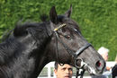 Race 1 - Moosmee (10)