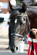 Race 1 - Moosmee (11)