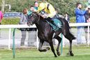 Race 1 - Moosmee (2)