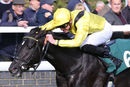 Race 1 - Moosmee (3)