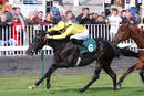 Race 1 - Moosmee (5)