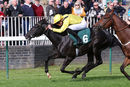 Race 1 - Moosmee (6)