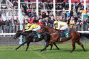 Race 1 - Moosmee (7)