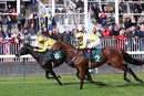 Race 1 - Moosmee (8)