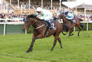 Race 1 - Mossbawn (10)