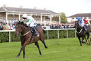 Race 1 - Mossbawn (6)