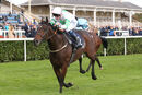 Race 1 - Mossbawn (7)