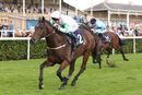 Race 1 - Mossbawn (9)