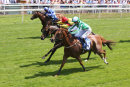 Race 1 - Mr Lupton (2)