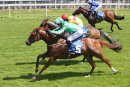 Race 1 - Mr Lupton (4)