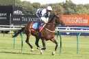 Race 1 - Nazzaa (8)