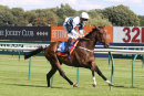 Race 1 - Nazzaa (9)