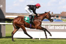 Race 1 - Never Do Nothing (12)015