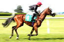 Race 1 - Never Do Nothing (2)019