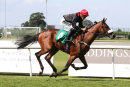 Race 1 - Never Do Nothing (8)024