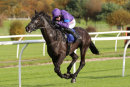 Race 1 - Nube Negra (6)