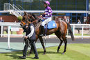Race 1 - Oh Purple Reign (11)