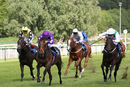 Race 1 - Oh Purple Reign (4)
