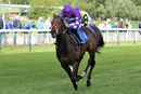 Race 1 - Oh Purple Reign (7)