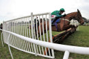 Race 1 - Oistrakh Le Noir (3)