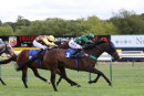 Race 1 - Orobas (6)