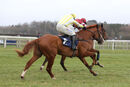 Race 1 - Our Jet (4)