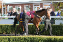 Race 1 - Our Power (2)