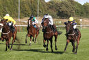 Race 1 - Parisiac (5)