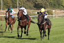 Nottingham Races (6 Oct 21)