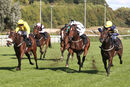 Race 1 - Parisiac (8)