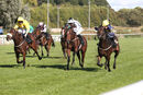 Race 1 - Parisiac (9)